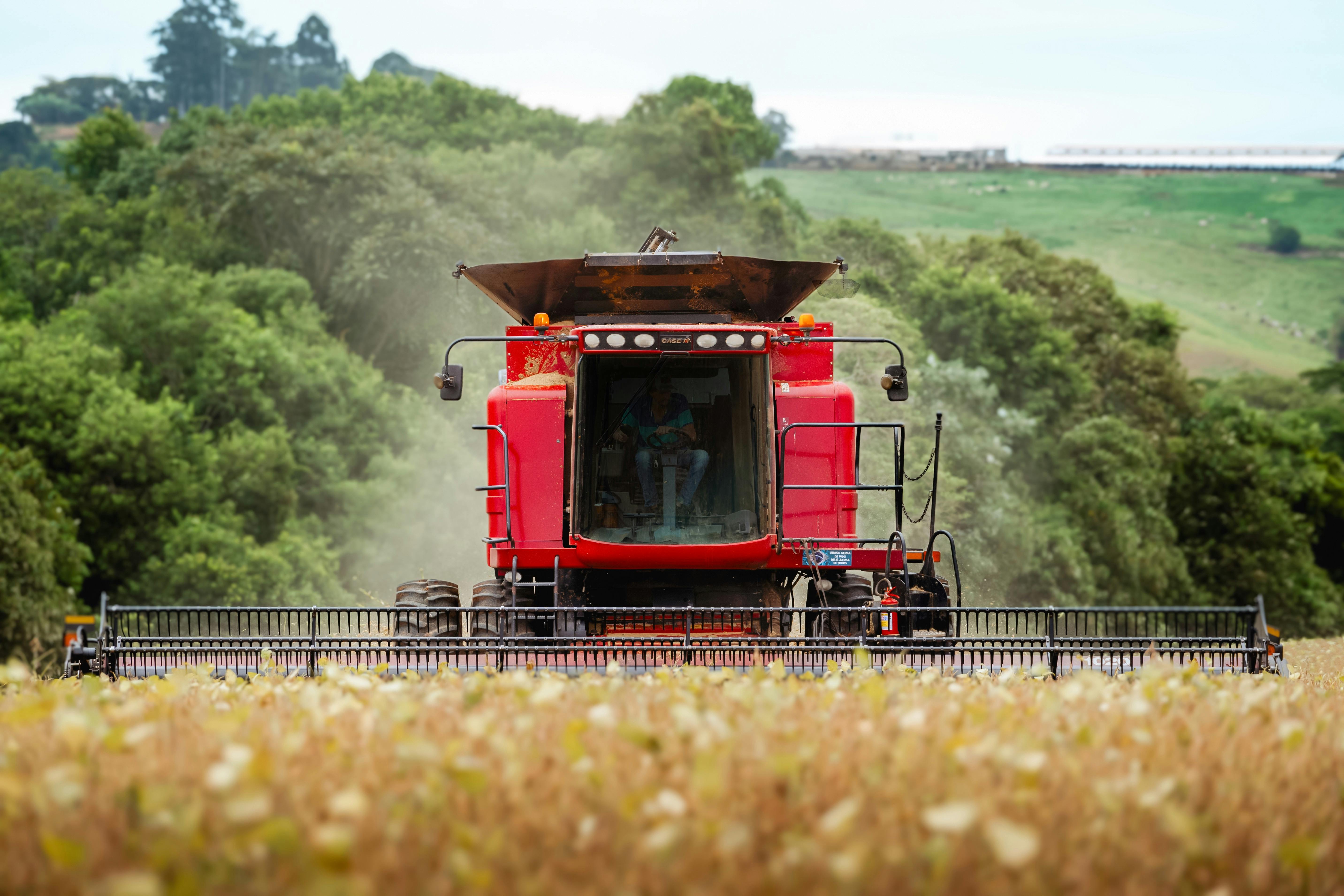 A combine moving through a field at harvest